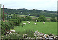 Farmland, Penuwch, Ceredigion