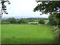 Pasture south of Penuwch, Ceredigion