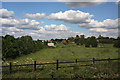 Paddocks near Lakenheath