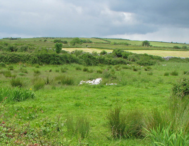 Burren fields on rising ground © C Michael Hogan :: Geograph Britain ...