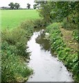 River Sence near Congerstone