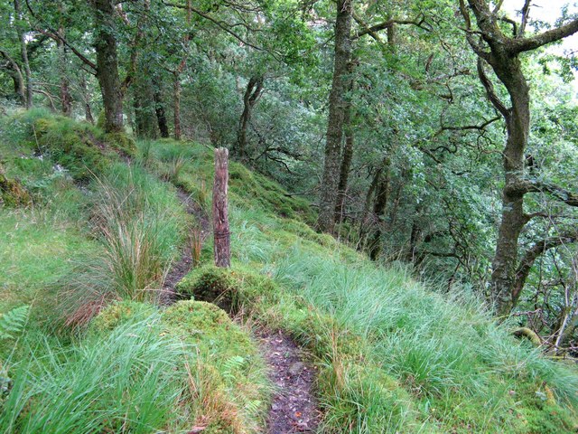 Path to shore of Loch Goil