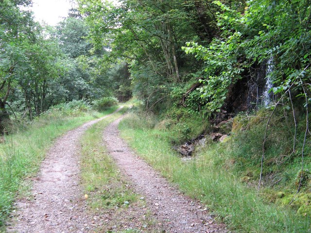 Forestry track above Loch Long