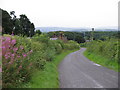 Road and cottages