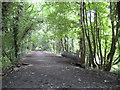 High Wycombe: Former railway line to Bourne End