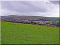 Field on the slopes of Frenni Fawr