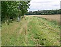 Footpath along the River Sence