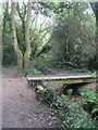 Kinson: small footbridge on the common