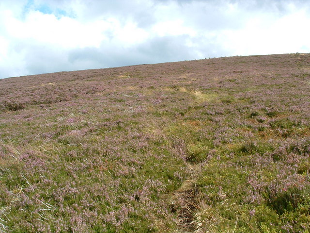 Sheep track through the spur of Cnoc na Sealg