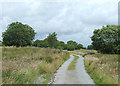 Farm lane south of Penuwch, Ceredigion