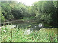 Kinson: pond on the common