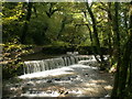 Cothele Mill Weir