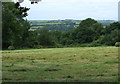 Farmland and woodland, Capel Betws Lleucu, Ceredigion