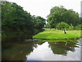 Union Canal, Greenbank, Falkirk