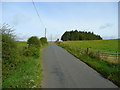 Road north near Twyn-y-gaer