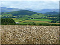 Barley land at Garthbrengy 3
