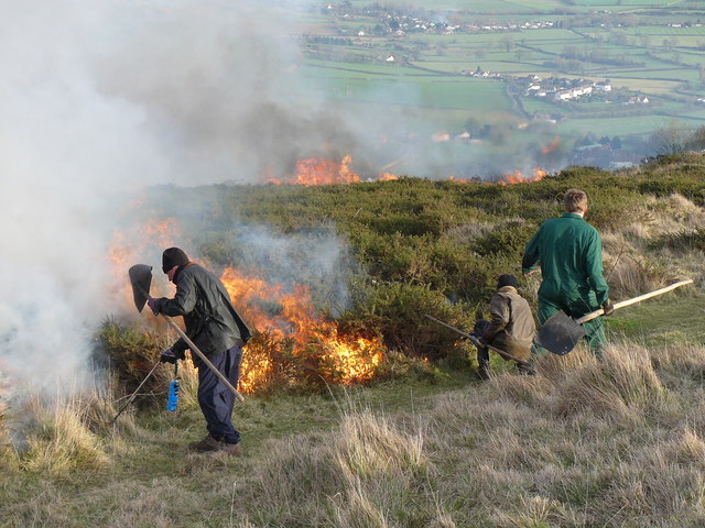 Lighting the Windward edge to complete the controlled burn