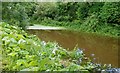 Old Newry Canal, Terryhoogan, Scarva