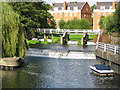 River Mole: East Molesey Weir