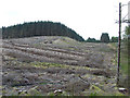 SN7053 : Felled forestry land, Cwm Dulas Plantation, Ceredigion by Roger  D Kidd