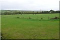 Farmland near Broadwey