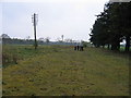 Former Strathmore main line east of Alyth Junction