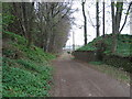 Abutment of Newtyle & Glammis Railway bridge