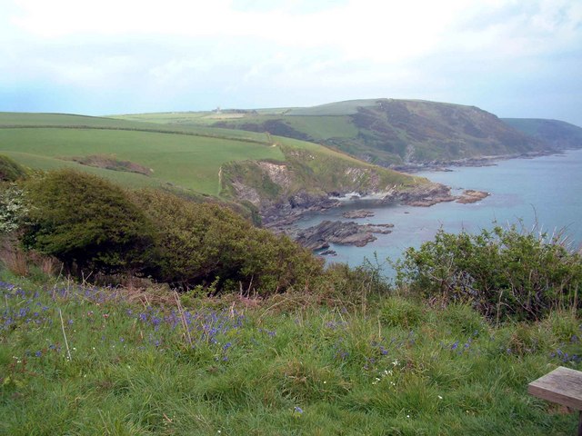 Bluebells On The Cliff Spring In © Roger Geach Geograph Britain