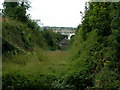 Looking Down Barrier Ditch, Fort Amherst, Chatham