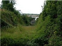 TQ7568 : Looking Down Barrier Ditch, Fort Amherst, Chatham by Danny P Robinson