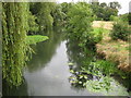 River Mole in East Molesey (2)