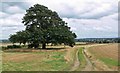 Farmland near Measham