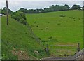 Section of the A6 road on fill by a pasture