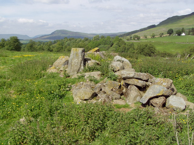 Little Findowie Standing Stone from East