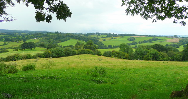 Rolling Monmouthshire countryside