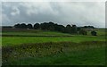 Dry stone wall boundaries