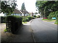 Tilford Road approaching turning for Marchants Hill