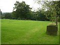 Rose Hill Natural Burial Ground - Birkby Hall Road