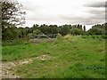 Gate and footpath Elkesley