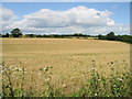 TR2640 : View across the fields from Broadsole Lane by Nick Smith