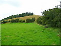 Path past Allt y Gest