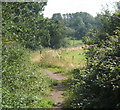 Footpath between Column Field Quarry and Cottage Farm