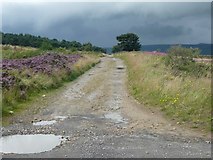 SE1205 : Ramsden Road, Holme by Humphrey Bolton