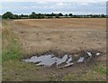 Farmland near Derby Lane