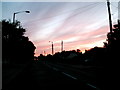 Chestnut Avenue at Dusk