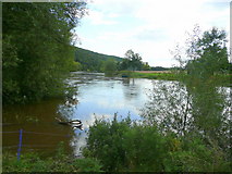 SO6129 : River Wye at How Caple bend 1 by Jonathan Billinger