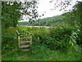 SO6129 : Wye Valley Walk footpath by Jonathan Billinger