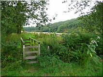 SO6129 : Wye Valley Walk footpath by Jonathan Billinger