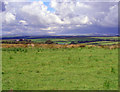 Rough pasture: Caerlesi Common, Trelech