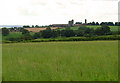 Field near Plas-y-glomen, Abernant